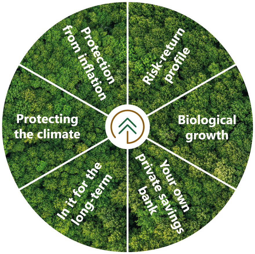 Why forest? Six reasons